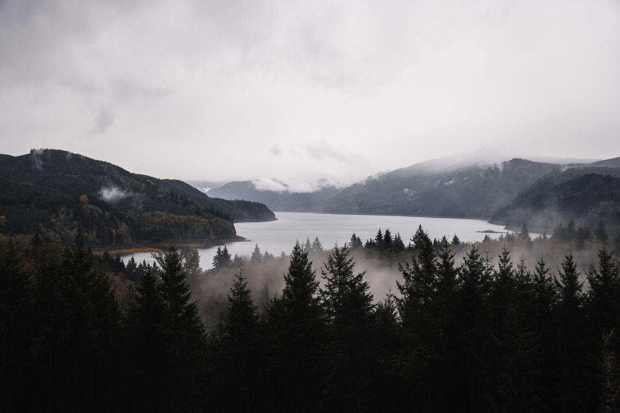 Misty lake edged with pine trees in Washington