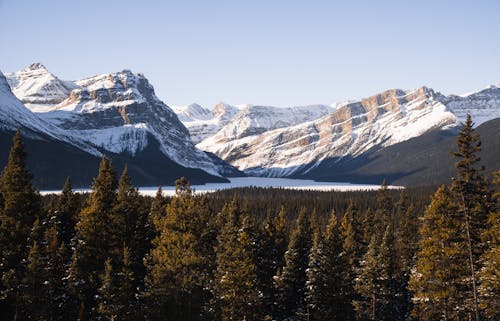 Ingyenes stockfotó erdő, festői kilátás, hóval borított hegyek témában Stockfotó