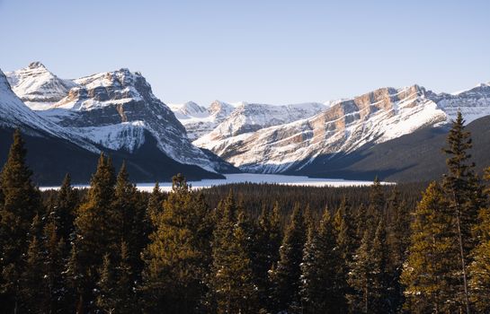 Breathtaking snow-covered peaks of the Canadian Rockies with lush evergreen forest in the foreground.