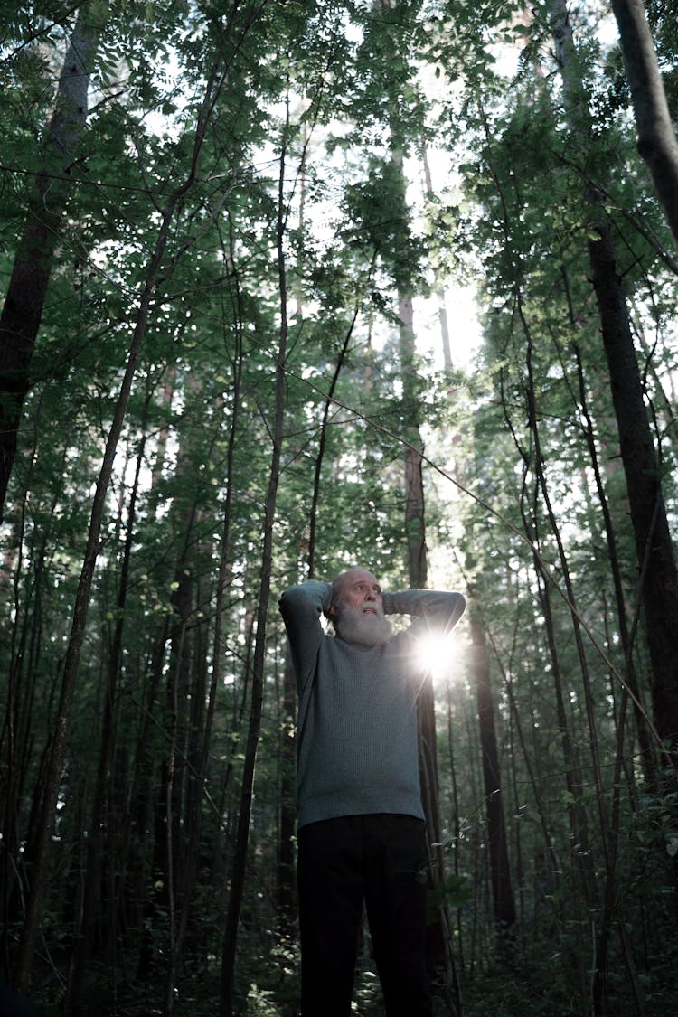 An Elderly Man Lost In The Woods