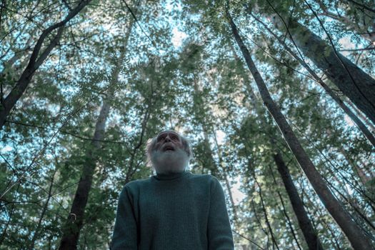 Free stock photo of adult, adventure, afraid