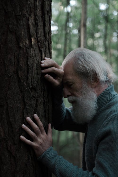 Free Sad Senior Man with White Beard Leaning Against Tree Trunk in Forest Stock Photo