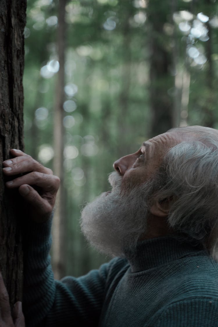 Profile Of Senior Man With White Beard Touching Tree In Forest