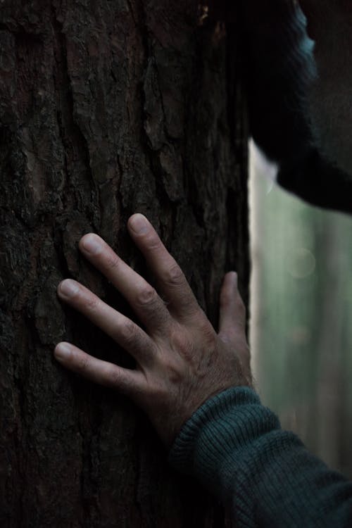 Hand of Senior Man Touching Tree in Forest