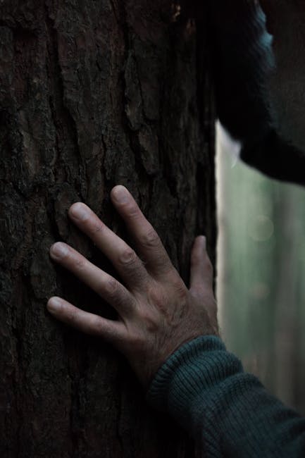 Exploring The Psychological Benefits Of Forest Therapy. 13 Cognitive Benefits