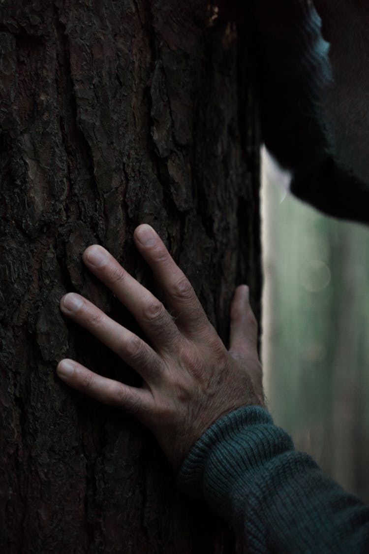 Hand Of Senior Man Touching Tree In Forest