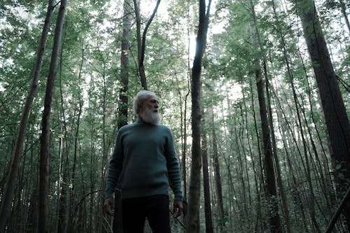 Free Senior Man with White Beard Walking in Forest Stock Photo