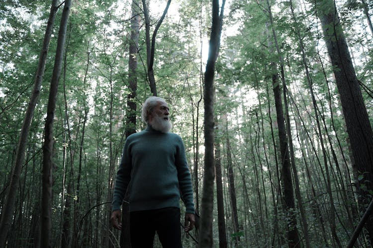 Senior Man With White Beard Walking In Forest