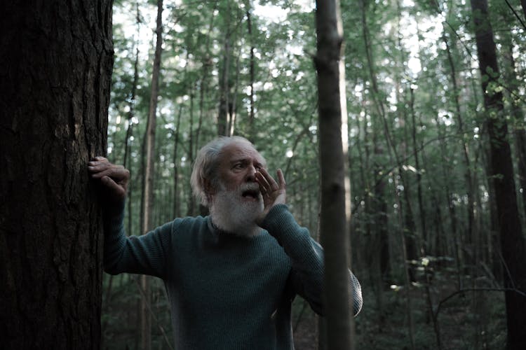 Man Shouting In The Forest 