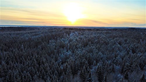 Free A stunning aerial view of a Finnish forest blanketed in snow at sunset, highlighting nature's golden hour beauty. Stock Photo