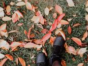 Person Wearing Black Leather Shoes Standing on Red Leaves
