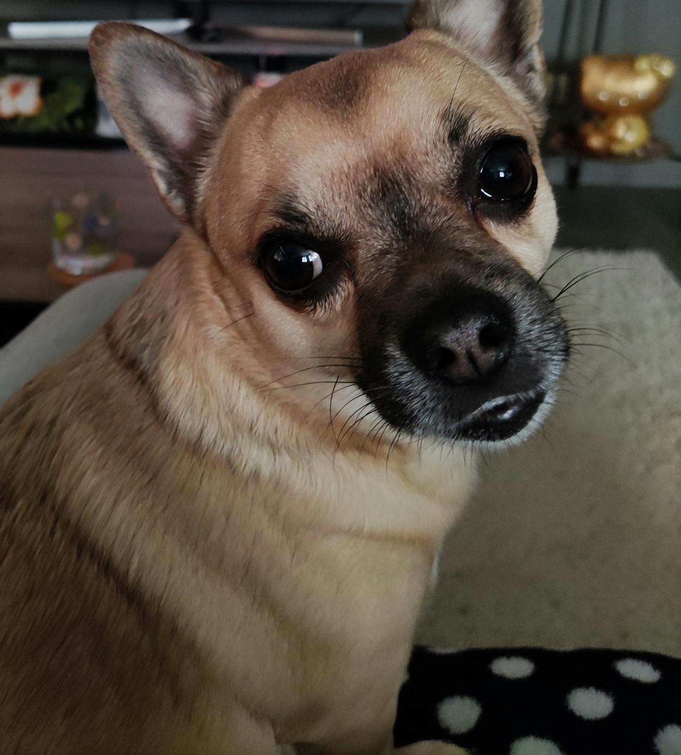 Generative AI creating digital art