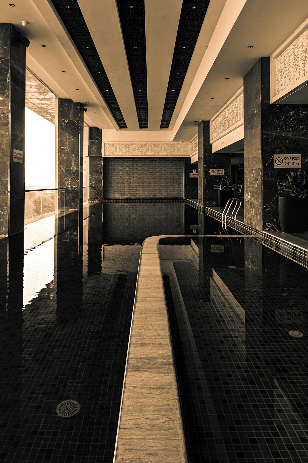 Fresh sea moss being rinsed in a bowl of water
