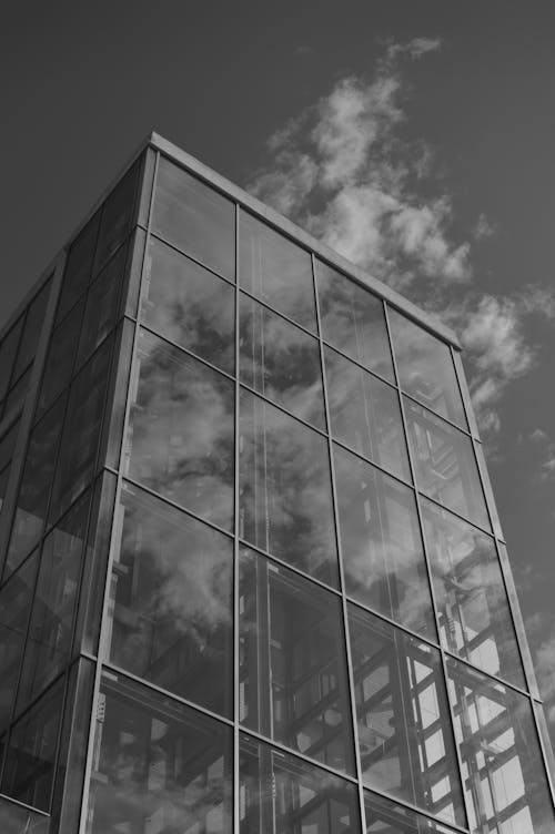 Free Grayscale Photo of a Glass Building Stock Photo