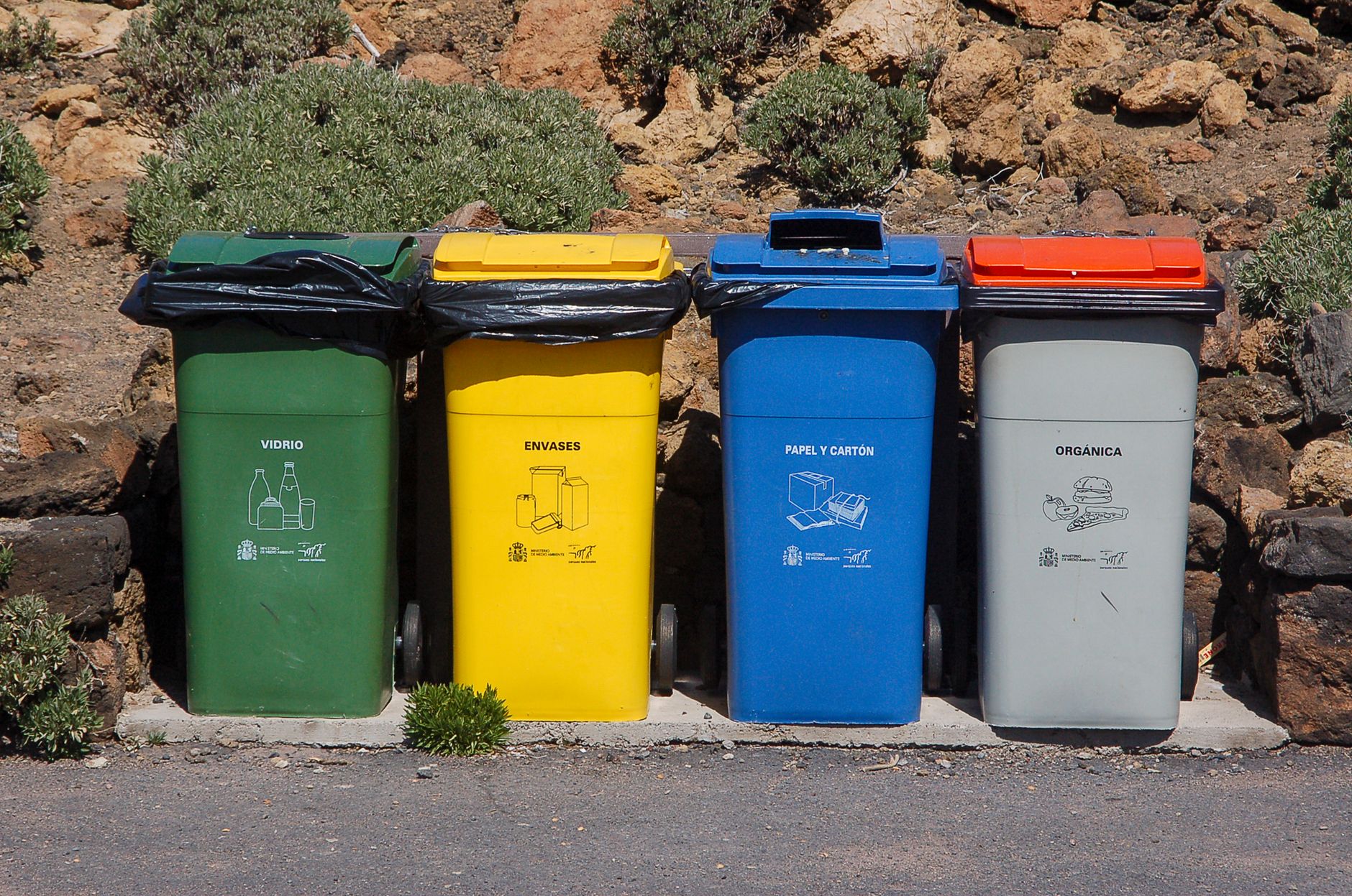 Ottawa's New Waste Schedule Is Causing Collection Delays for 80,000 Households