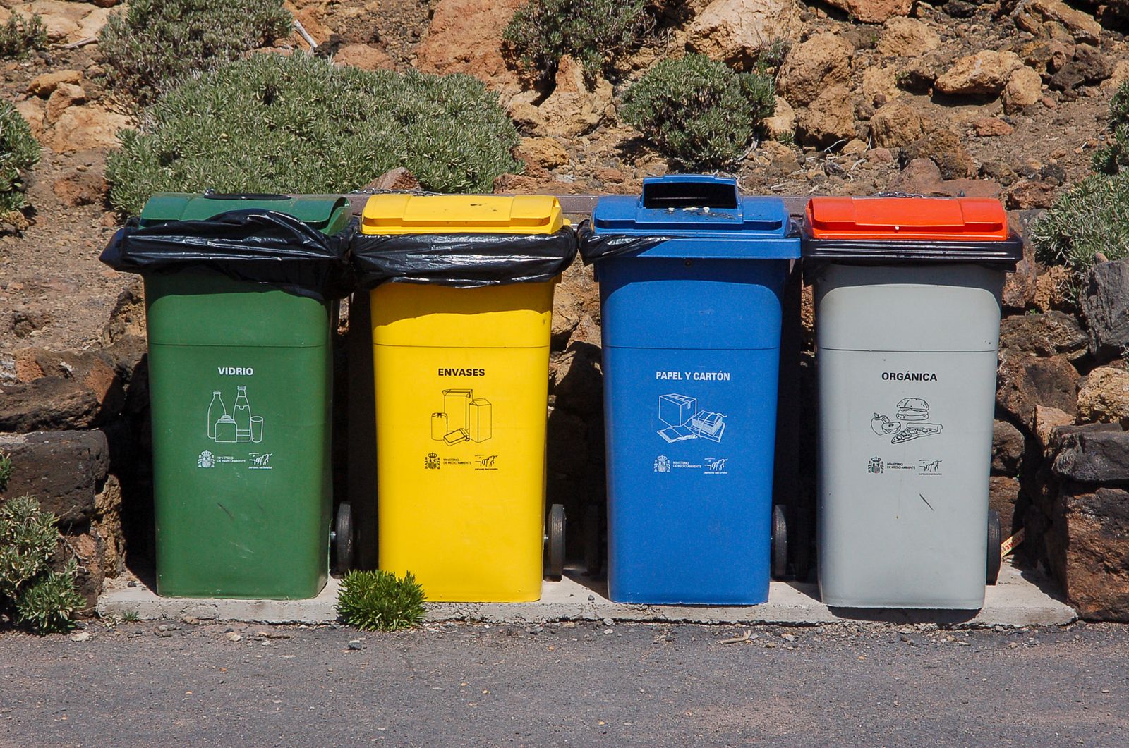 Multiple labeled recycling and waste bins arranged for sorting