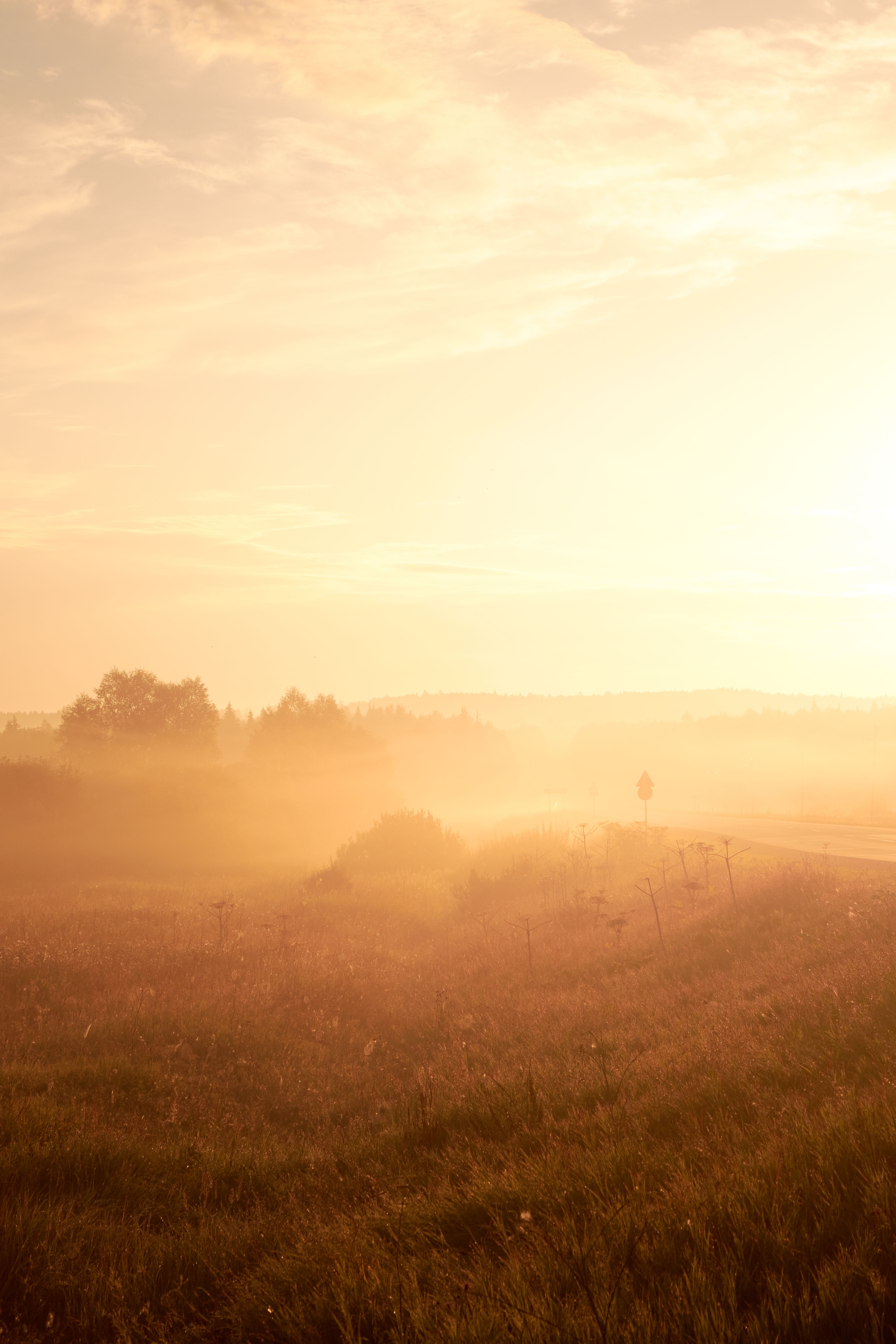 Sunrise over misty fields in Kueda, Perm Krai, Russia. Tranquil and natural landscape.