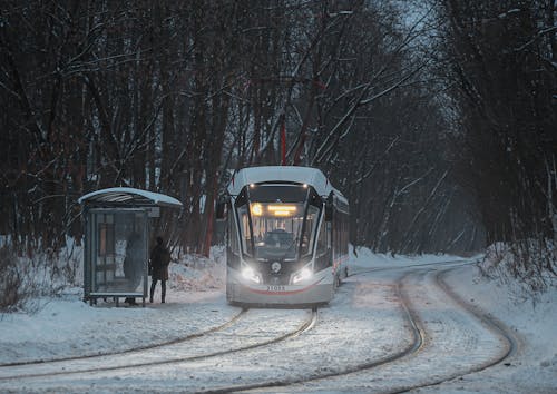 Бесплатное стоковое фото с голые деревья, железная дорога, зимний сезон
