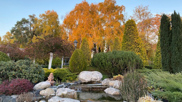 Garden In Autumn 