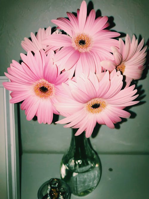 çiçek içeren Ücretsiz stok fotoğraf
