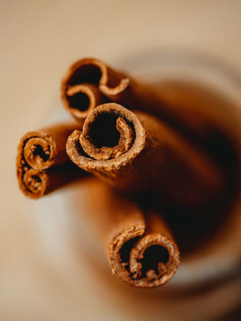 Cinnamon — Kayumanis