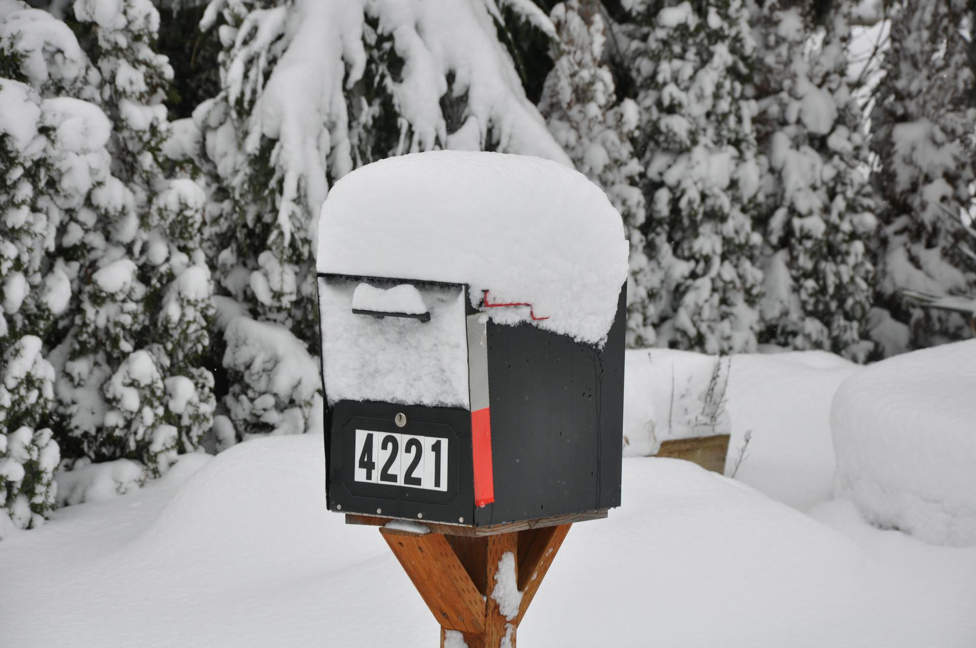 Black Mail Box on Snow Covered Ground