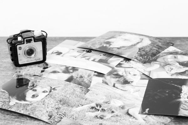 Vintage camera with printed photographs — Photo Pixel Park Studio