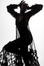 Woman Posing in Black Costume with Tulle Fabric