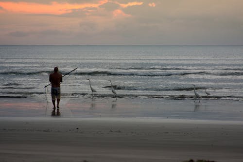 adam, balık ağı, balıkçı içeren Ücretsiz stok fotoğraf