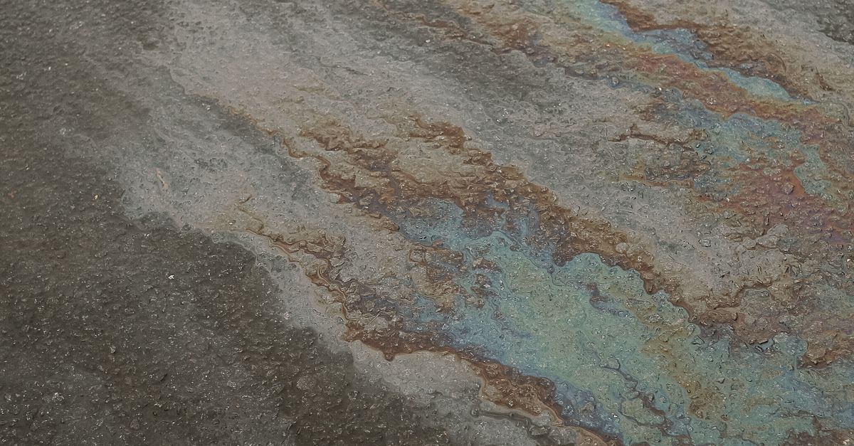 Cómo los derrames de petróleo afectan ecosistemas marinos y terrestres