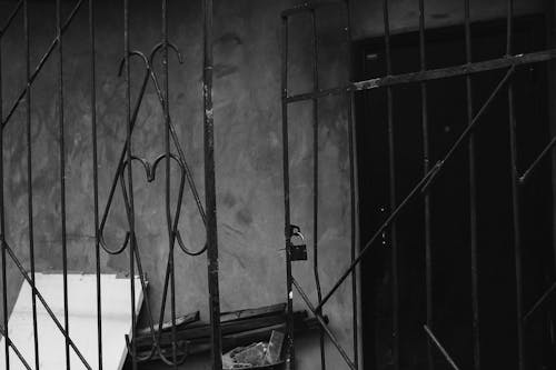 Grayscale Photo of Metal Gate 