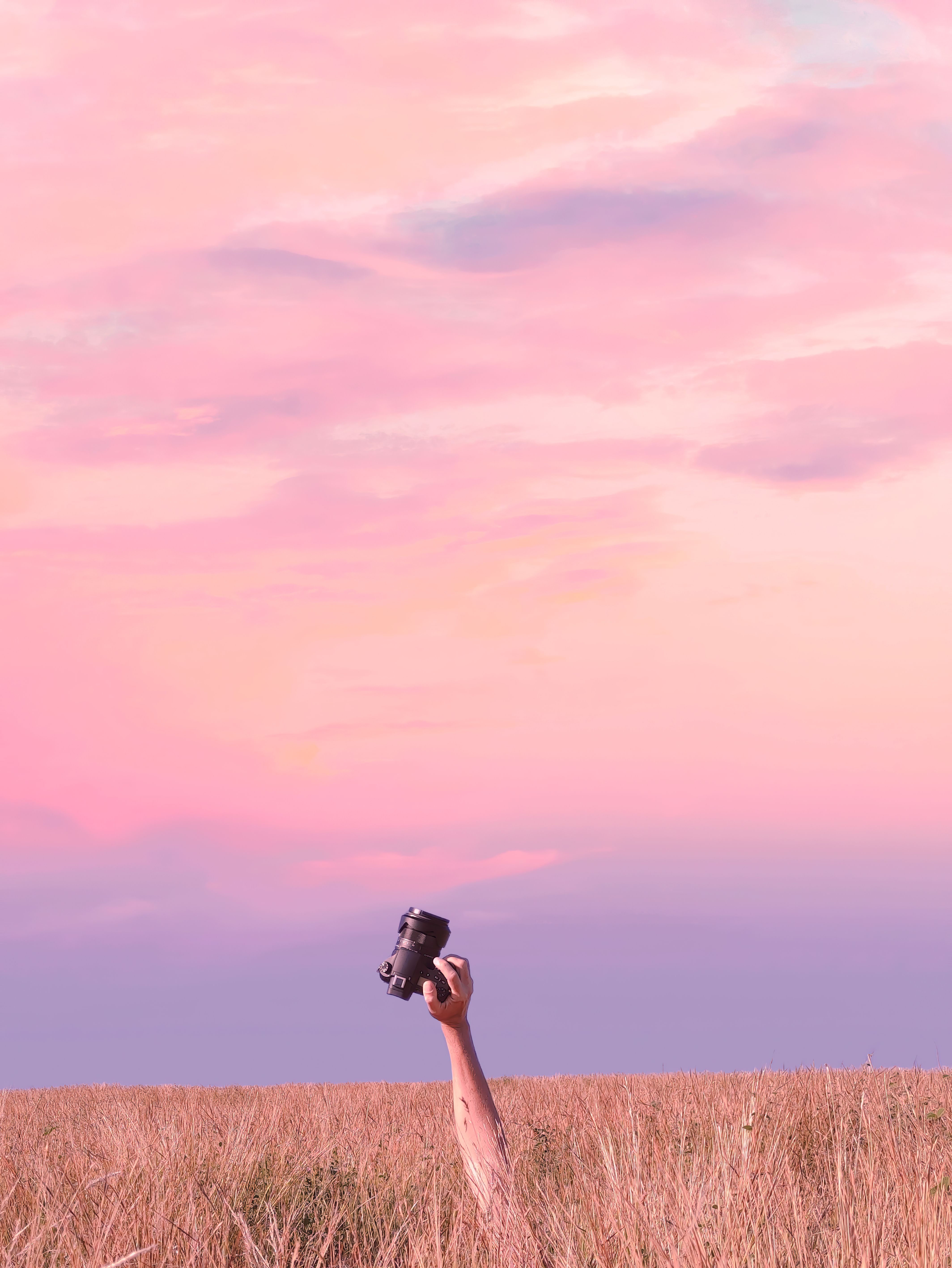 A Person Standing on Brown Gras Field under the Cloudy Sky · Free Stock ...