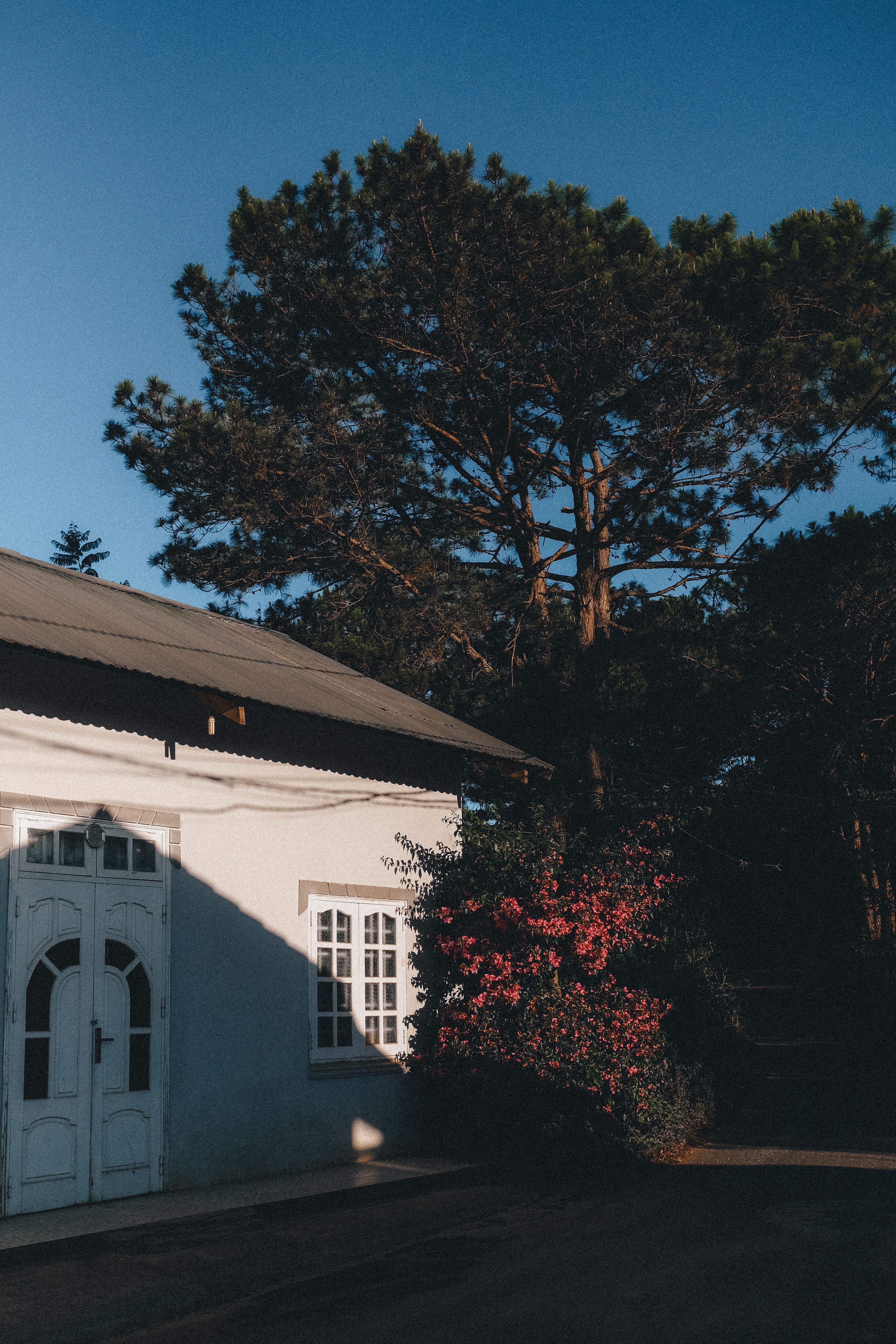 White House Near Green Trees Under Blue Sky · Free Stock Photo