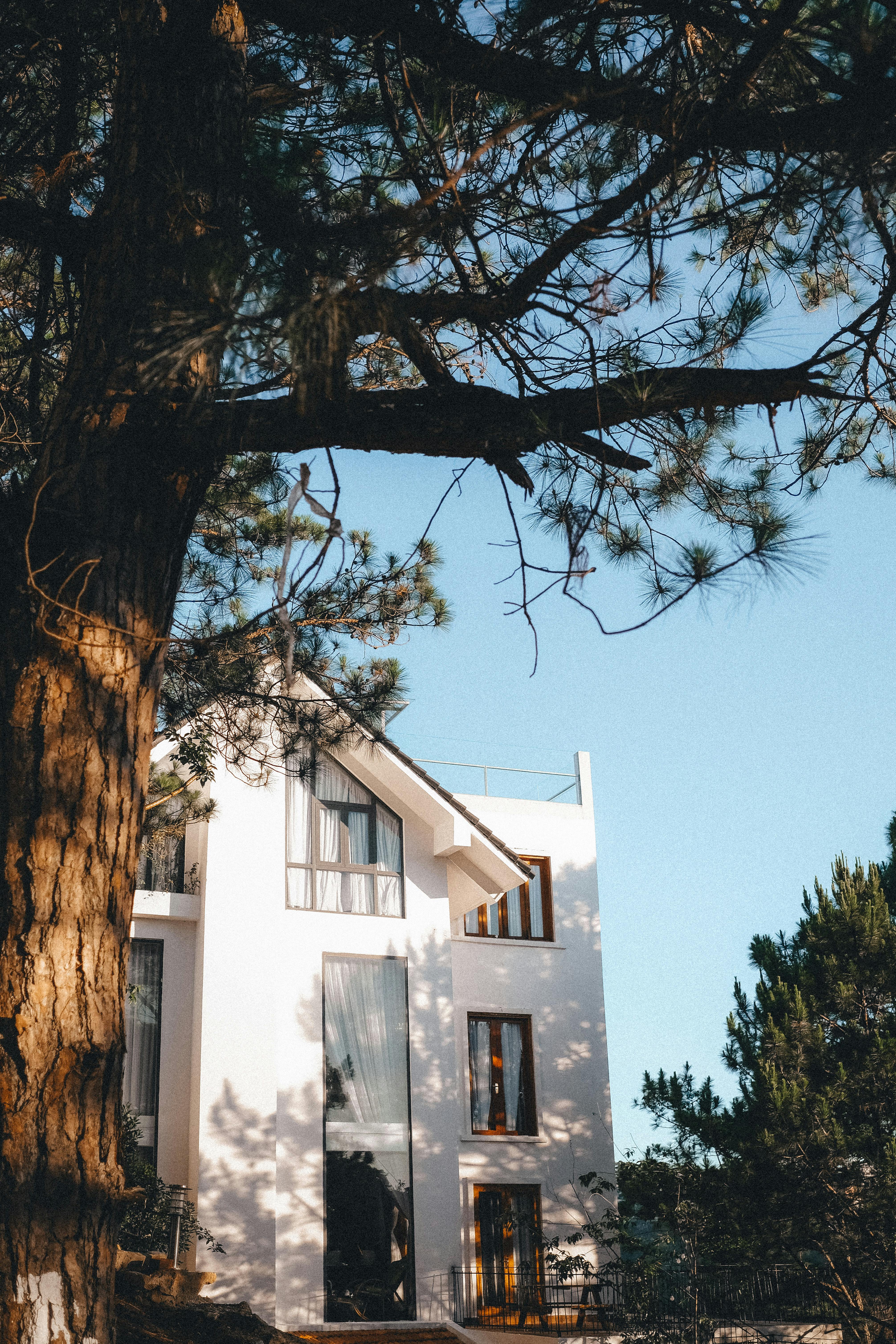 A sleek white house with glass windows under a clear blue sky surrounded by trees.