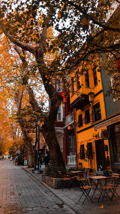 Free Picturesque autumn street scene featuring vibrant colorful buildings and falling leaves. Stock Photo