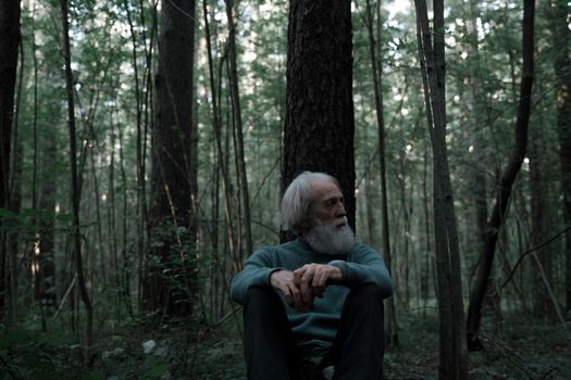 Elderly man with grey hair sits against tree trunk in tranquil forest, deep in thought.