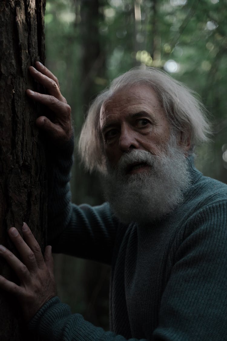 Scared Elderly Man In Green Sweater Touching Tree Bark In Forest