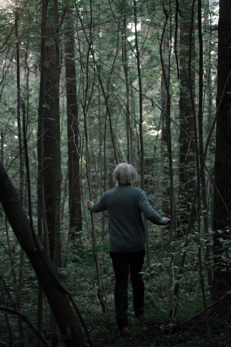 Rear View Of Senior Man With White Hair Walking In Forest