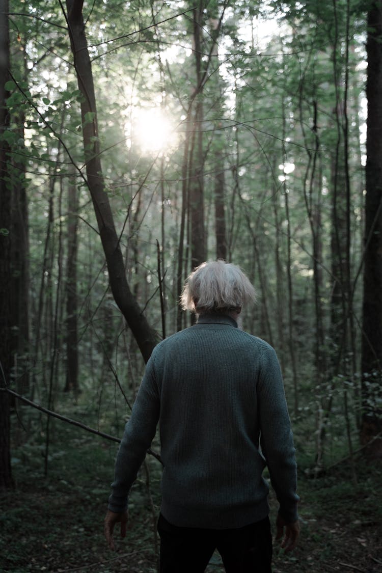 Rear View Of Senior Man With White Hair Walking In Forest