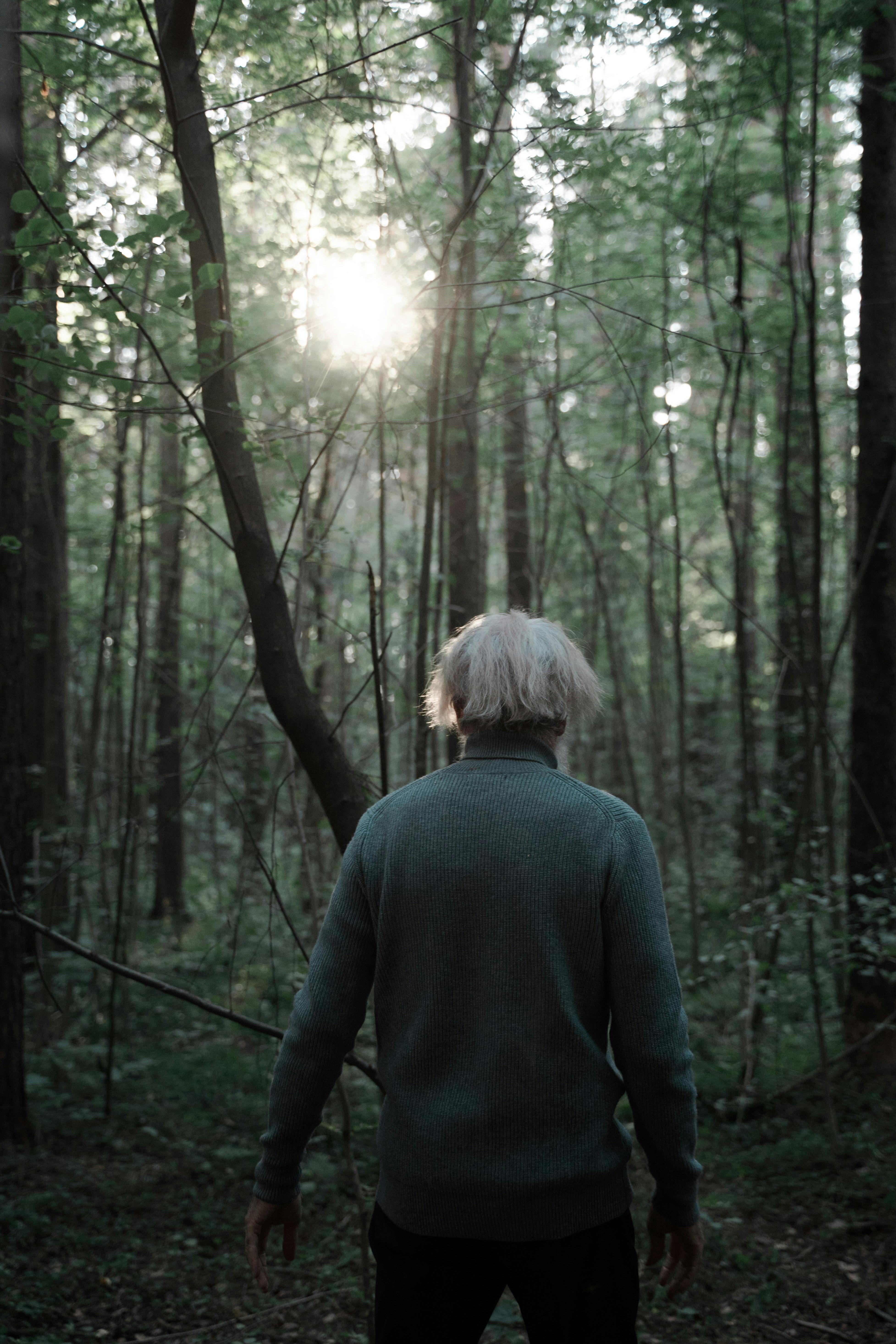 Rear View of Senior Man with White Hair Walking in Forest · Free Stock Photo