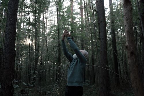 Free An elderly man stands in a forest, reaching upwards with a smartphone, seeking connectivity. Stock Photo