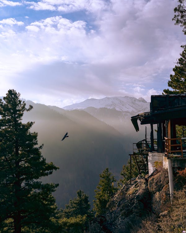 Scenic View of Pine Trees and Mountains Covered with Fog Under White Clouds