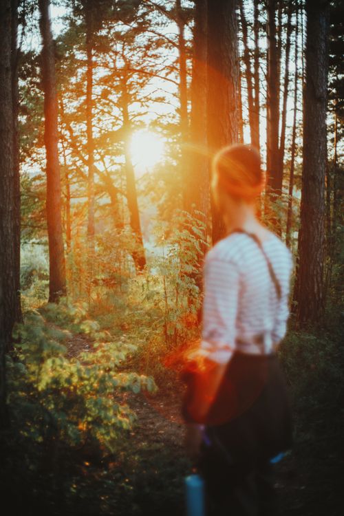 Free A person in the forest enjoying a serene walk during sunset with sun rays filtering through trees. Stock Photo