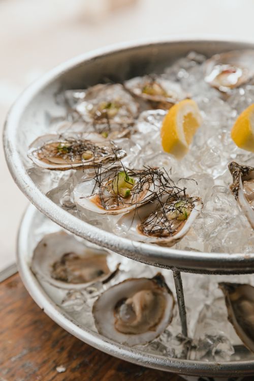 Free Chilled oysters garnished with lemon wedges served on a bed of ice, perfect for seafood lovers. Stock Photo