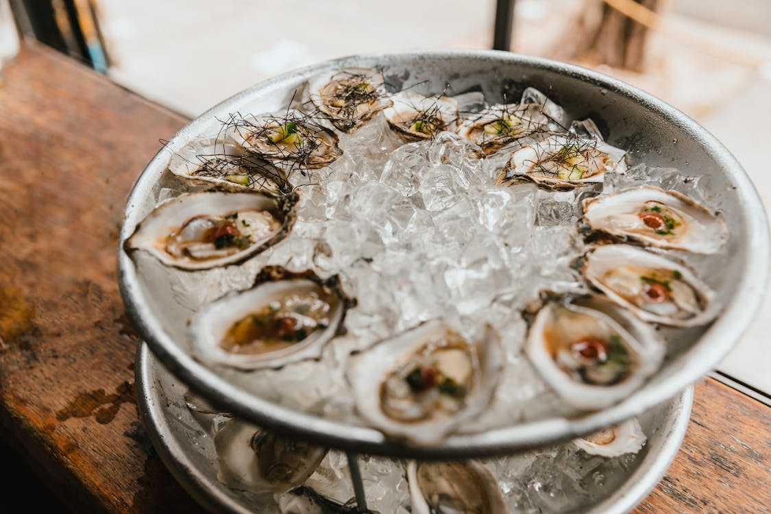 Free Oysters on Ice Stock Photo