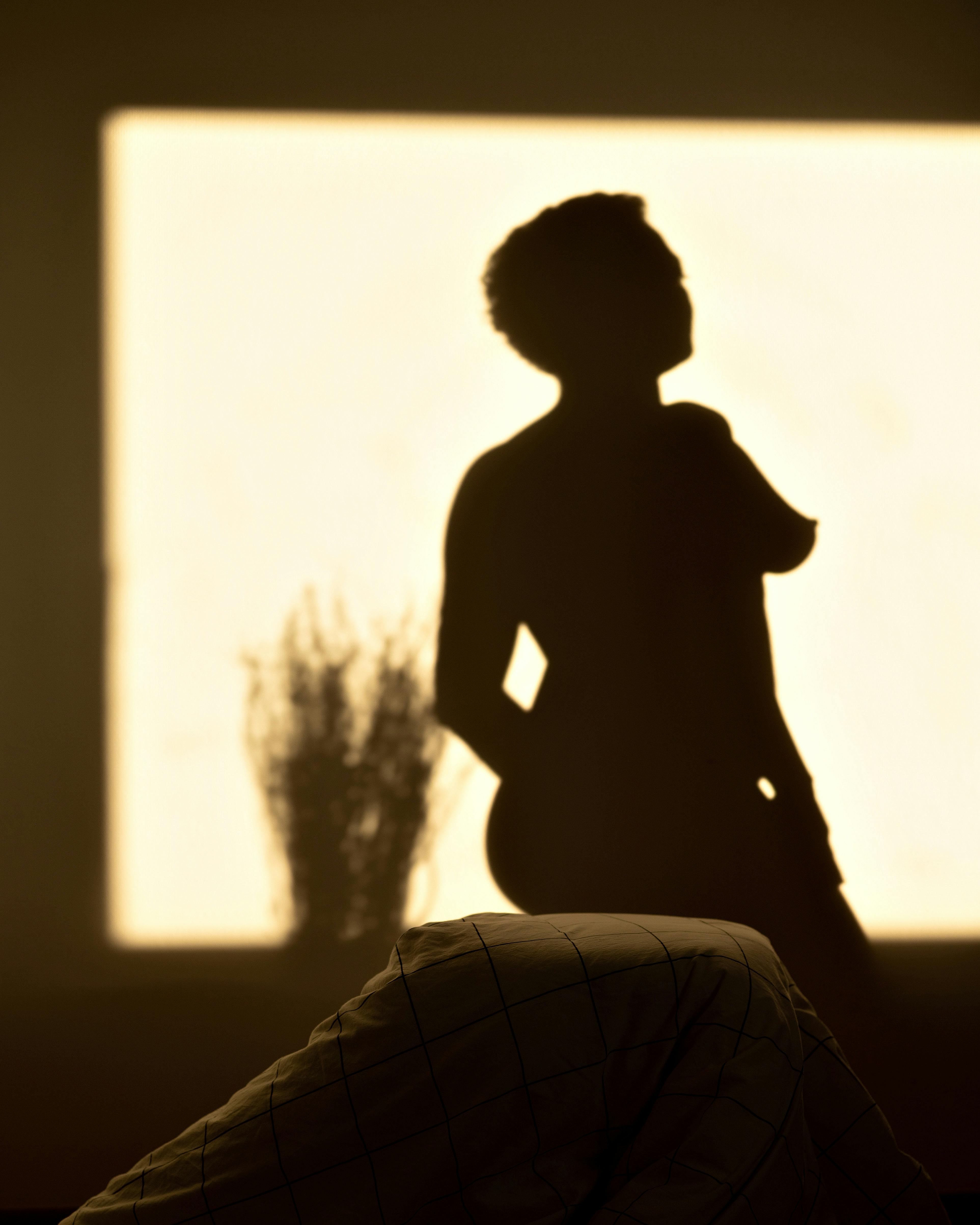 Silhouette of a Naked Woman · Free Stock Photo