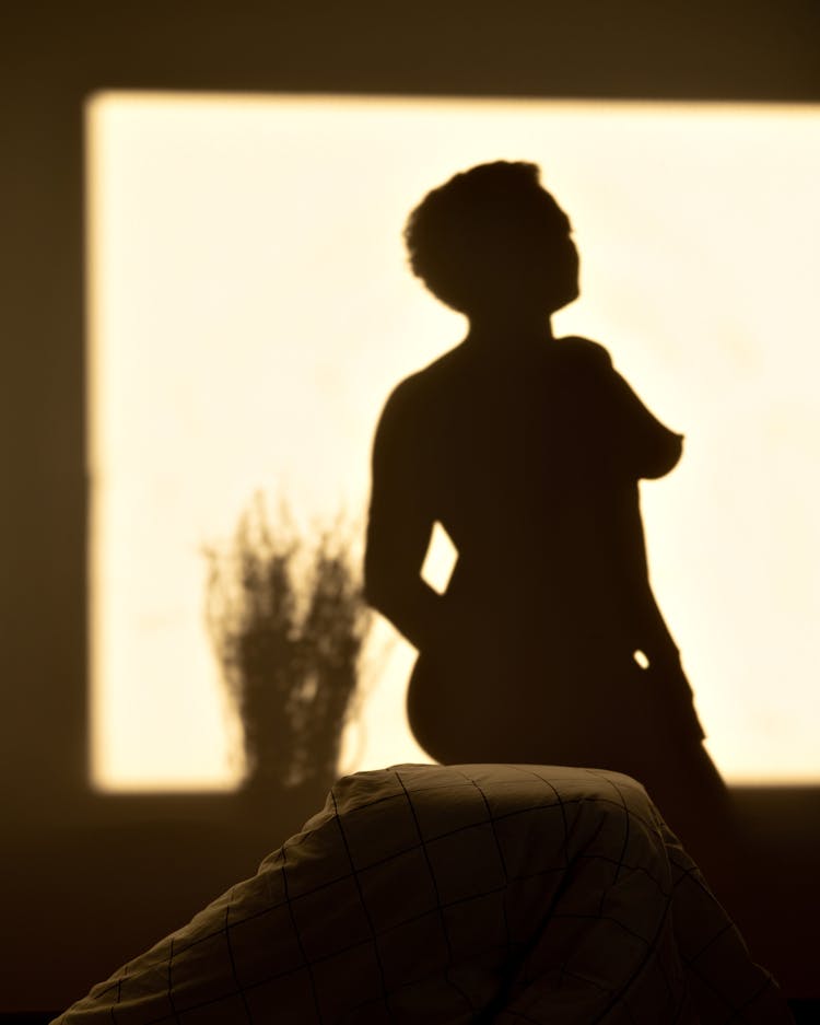 Silhouette Of A Naked Woman