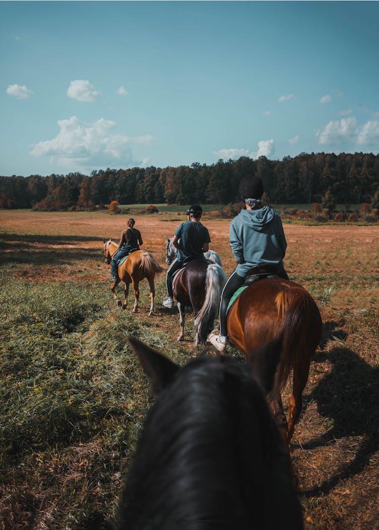 A Group Of People Riding Horses On A Grass Field