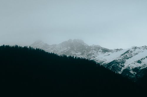 Free Scenic view of snow-covered mountains and pine silhouette under an overcast sky. Stock Photo