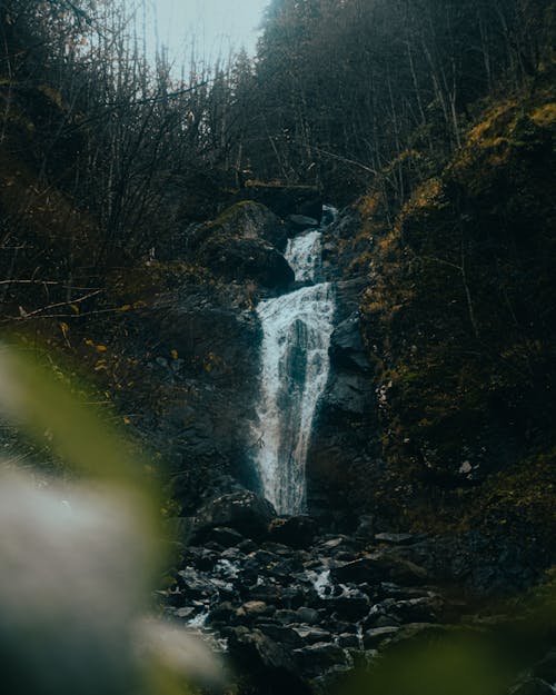 бесплатная Бесплатное стоковое фото с водопад, деревья, живописный Стоковое фото